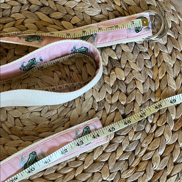 CJ Laing Charming Pink 🌸🐸 Women’s Belt with Frogs adjustable w/ metal loops - Picture 3 of 3